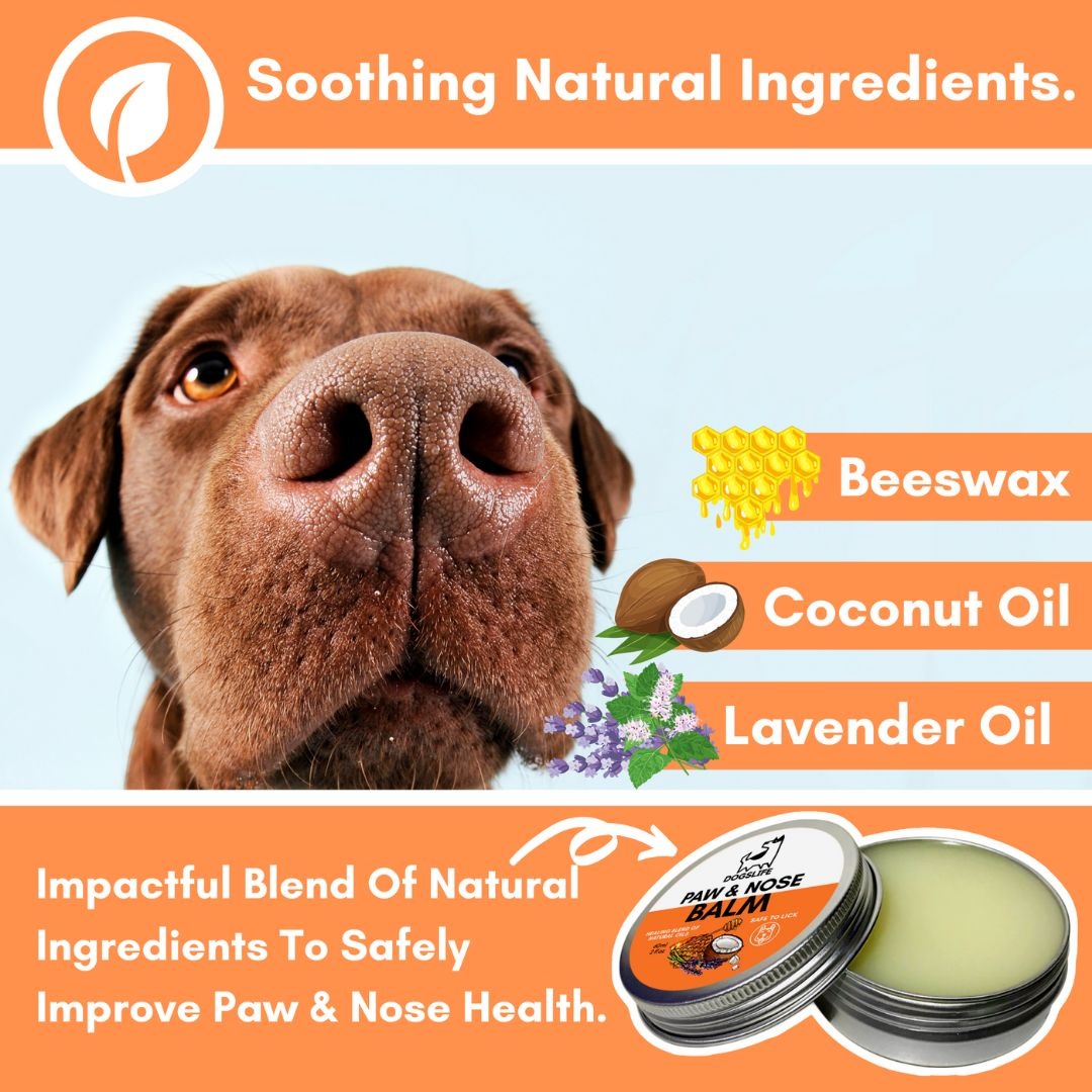 Greenfields hondenshampoo after bite 270 ml – herstelt droge vacht