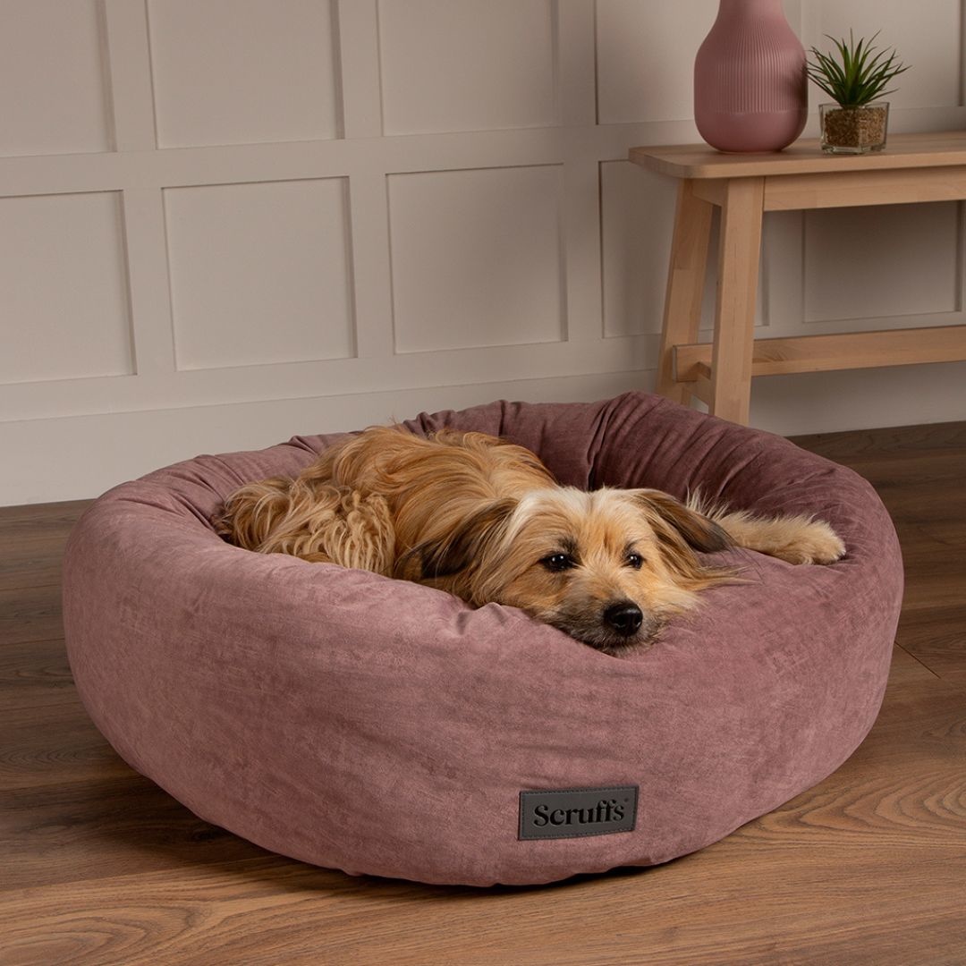 New age pet innplace™ hondenbench & bijzettafel | m - grijs