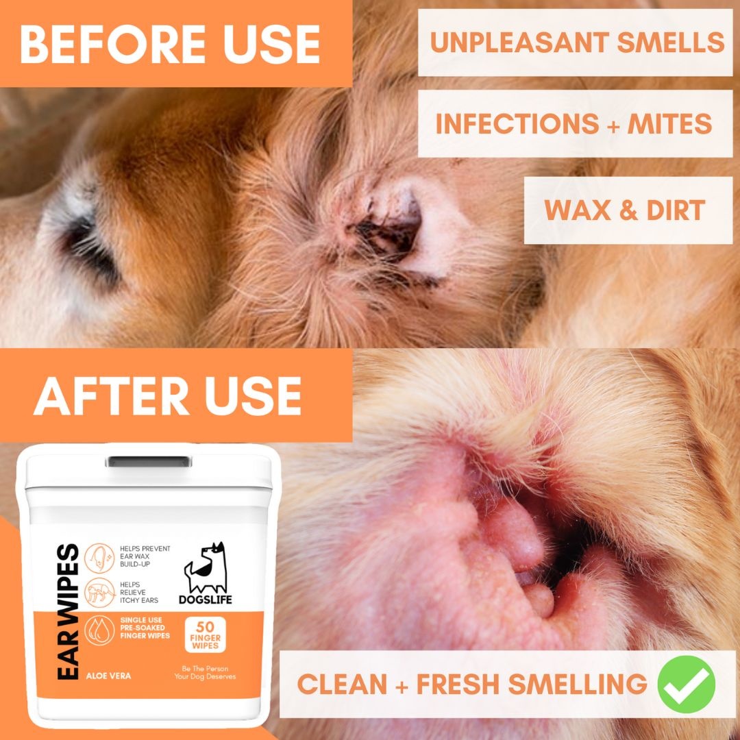Feliway feliway friends diffuser + refill 48ml | huisdierenverzoring