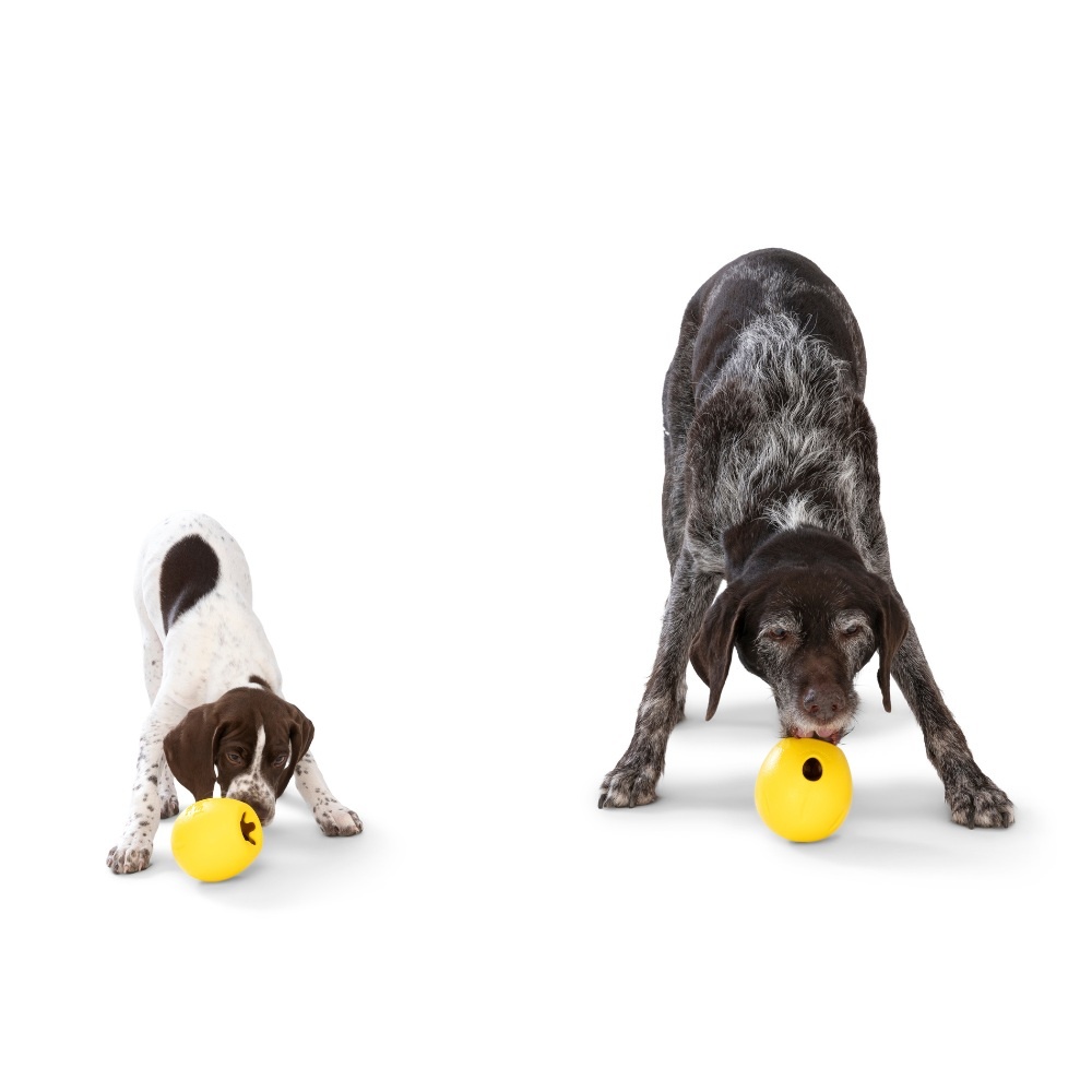 West paw zogoflex echo rumbl honden speelgoed large – dandelion geel