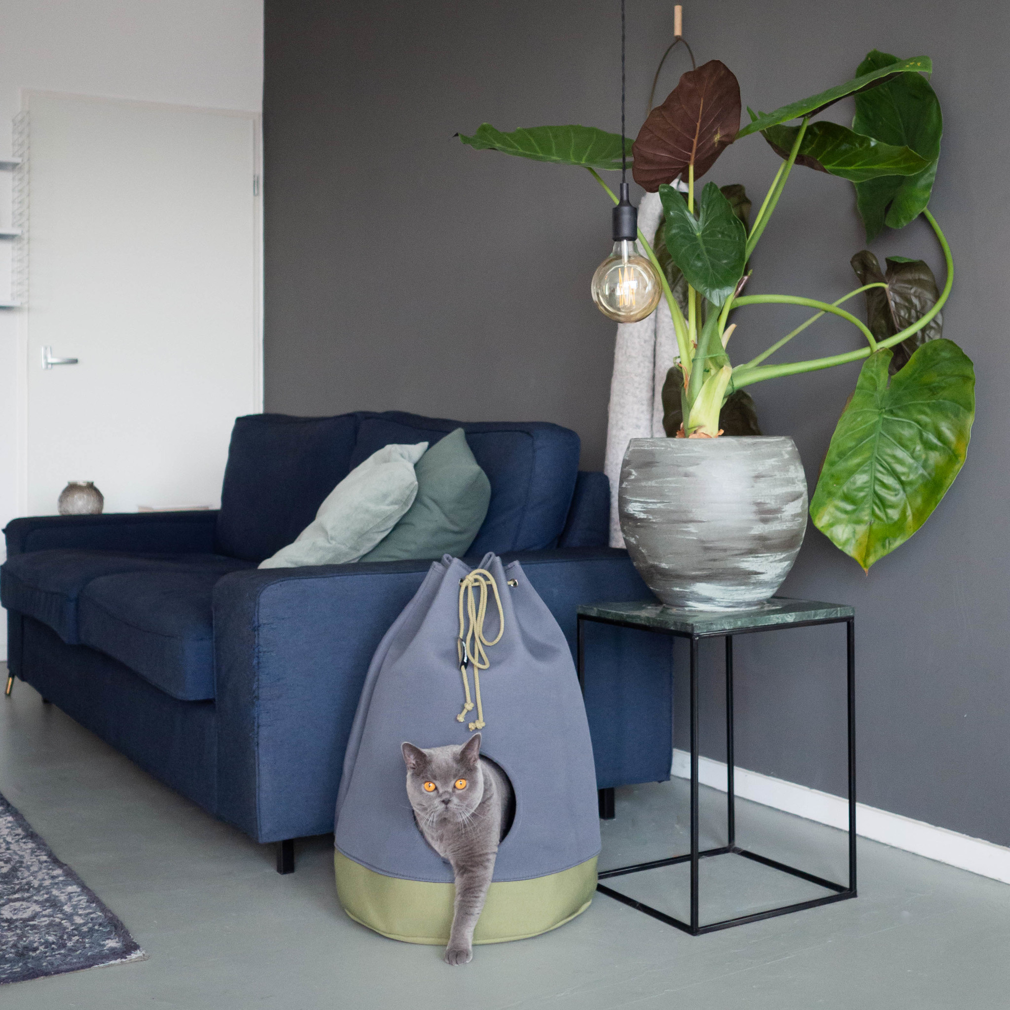 District 70 casa | moss cognac of mosgroen
