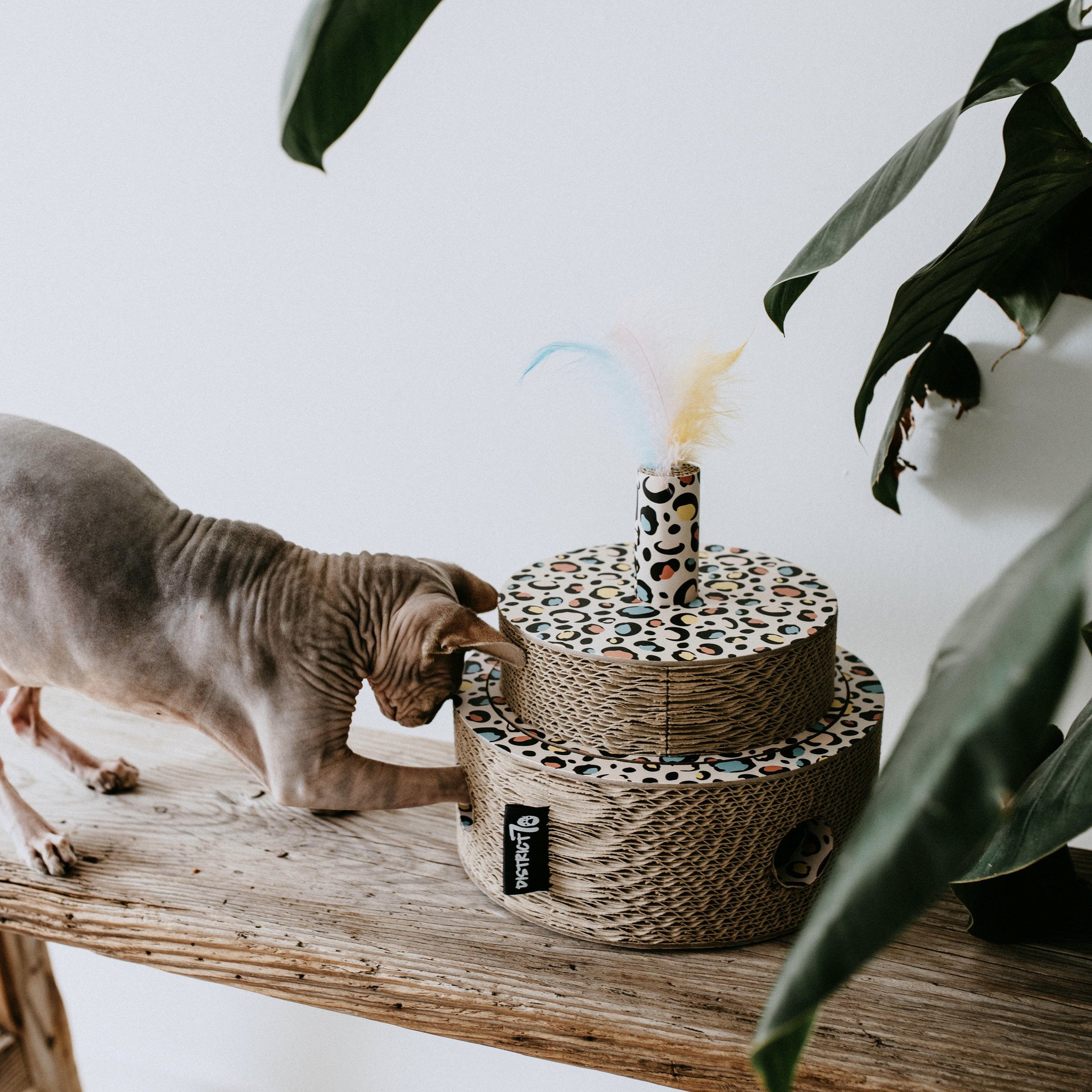 District 70 katten speelgoed fiesta sprinkle – duurzaam golfkarton