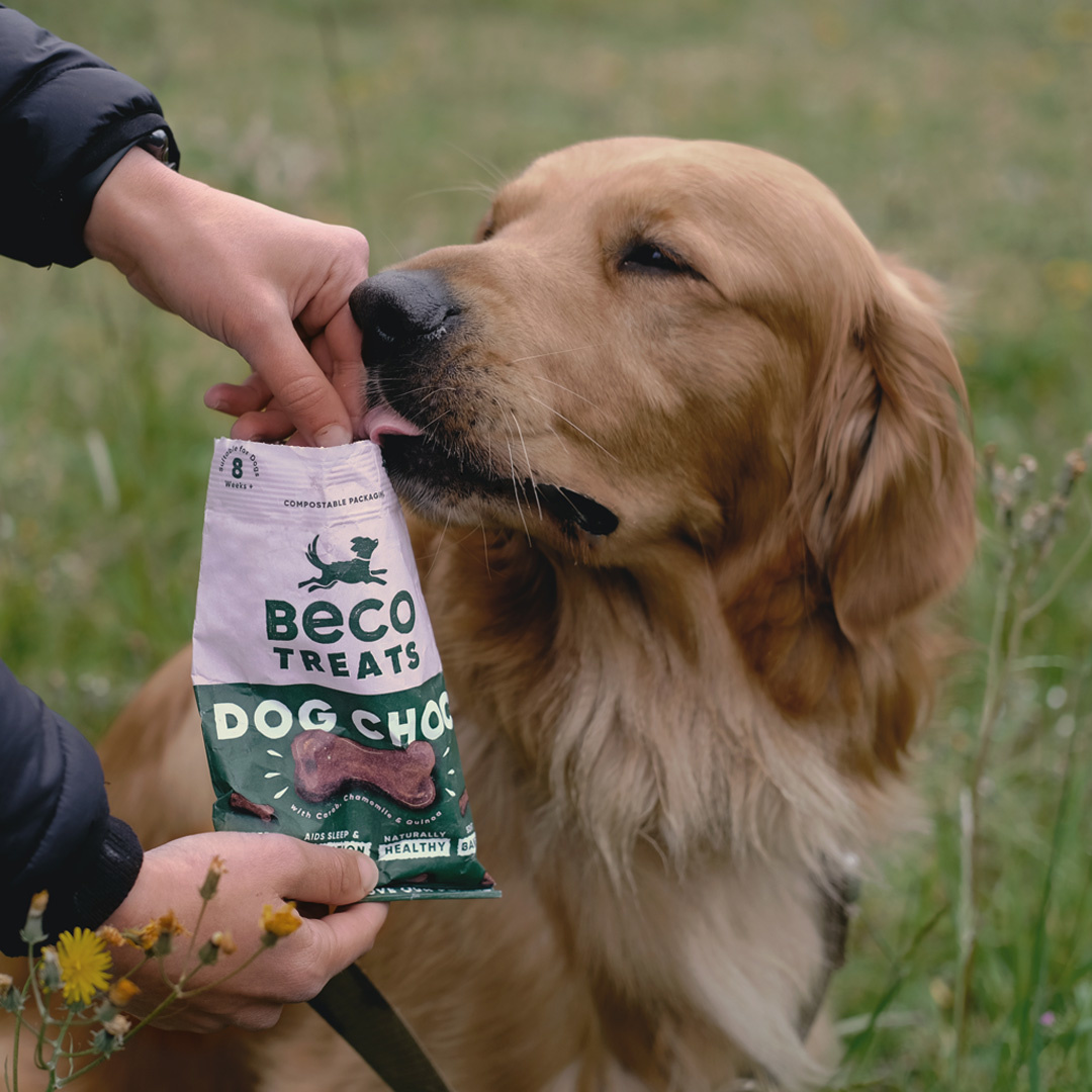 Beco treats - dog choc met kamille & quinoa 70g
