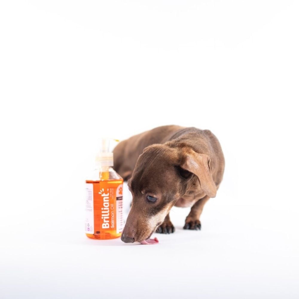 Brilliant zalmolie | salmon oil original - 300 ml