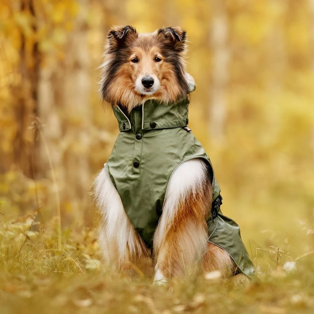 Rukka hondenjas streamy eco raincoat 45 cm – waterproof, groen