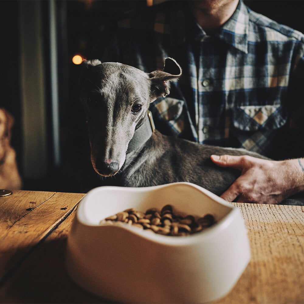 Beco food & water bowl | naturel, large 1500 ml