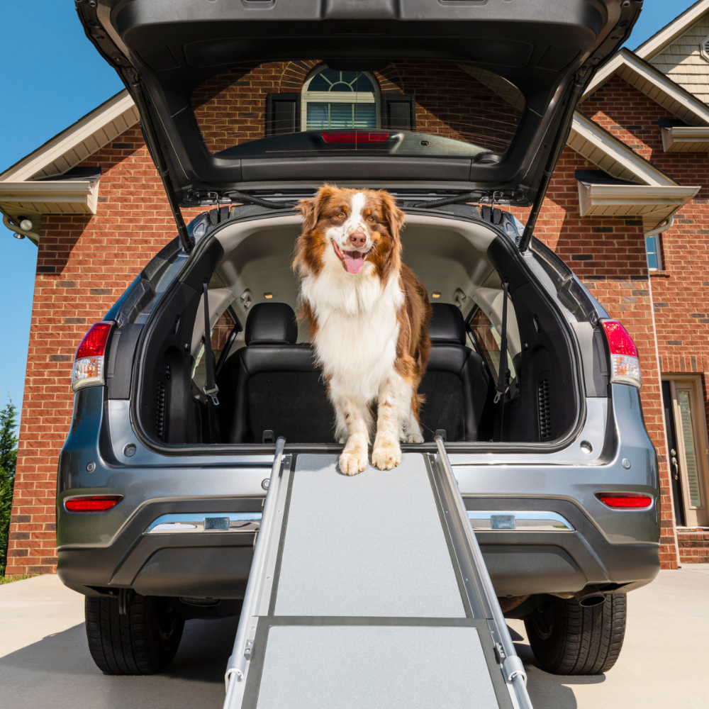 Petsafe happy ride deluxe telescoping ramp | extra large