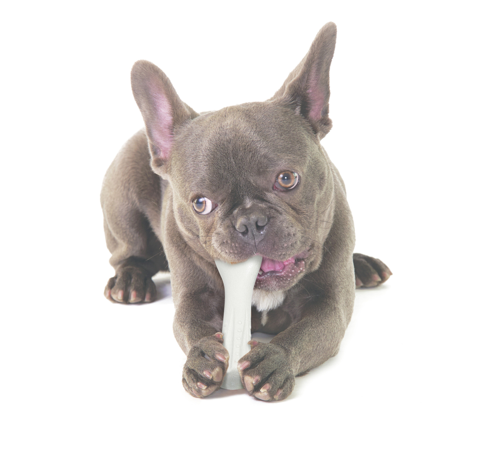 Petstages deerhorn | small - 12,7cm hondenspeelgoed