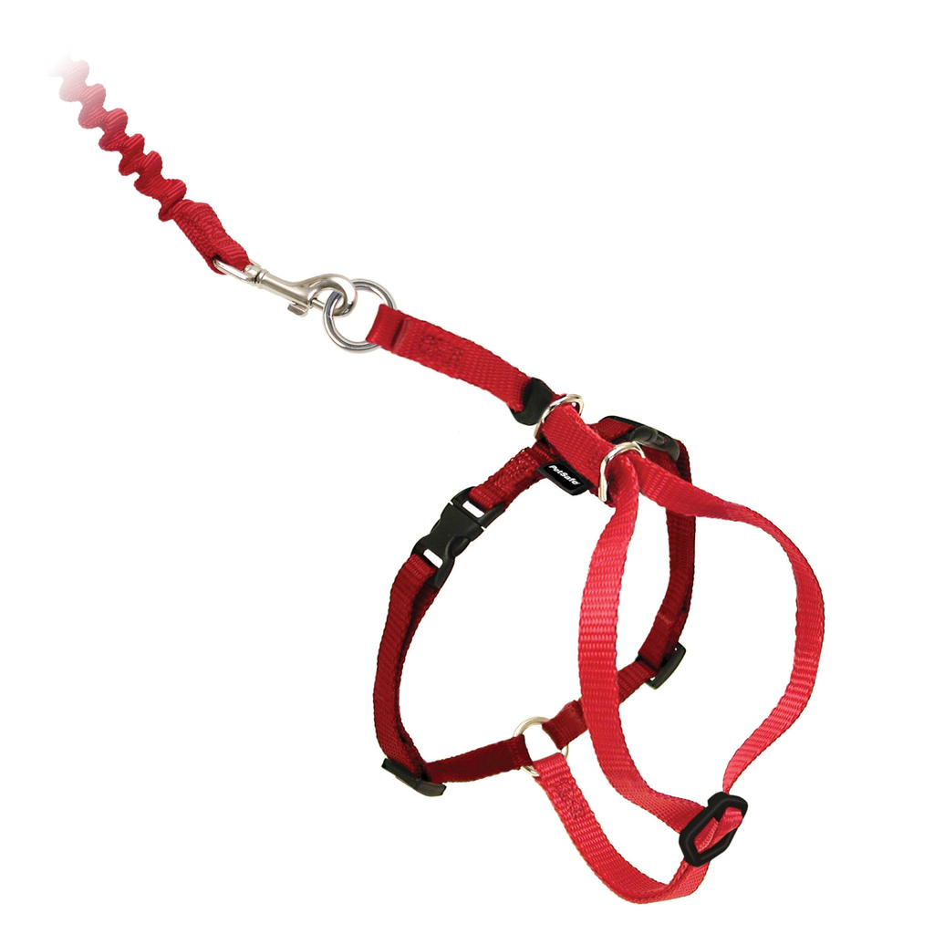 Easy walk® cat harness with bungee leash | rood, large 33-46 cm