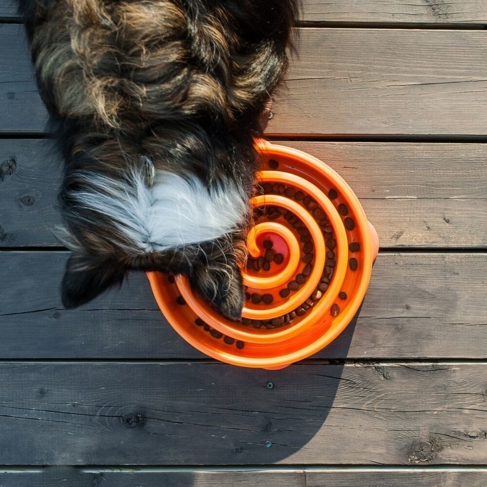 Outward hound fun feeder slo bowl | oranje, 950 ml