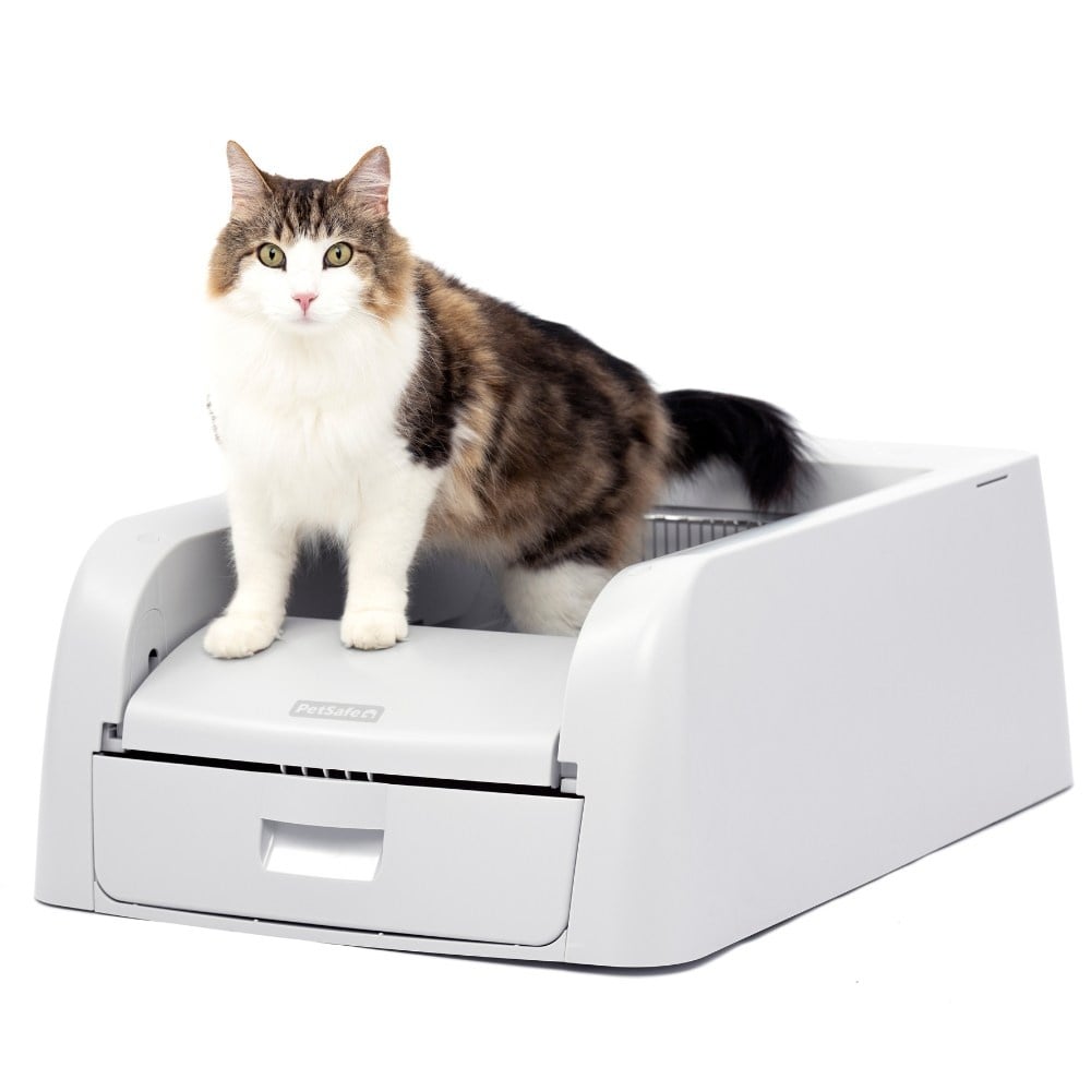 Petsafe scoopfree™ clumping litter box | zelfreinigend
