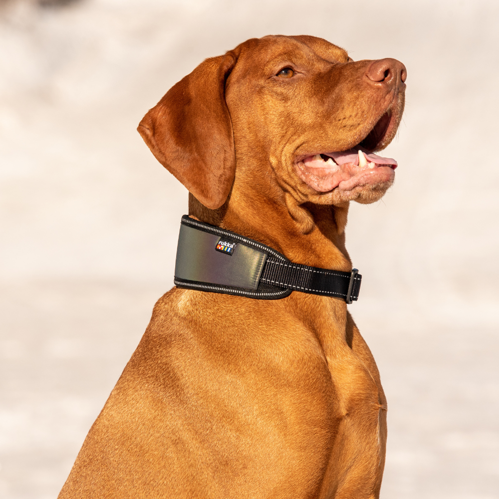 Rukka luminous soft collar | m - 30-50 cm