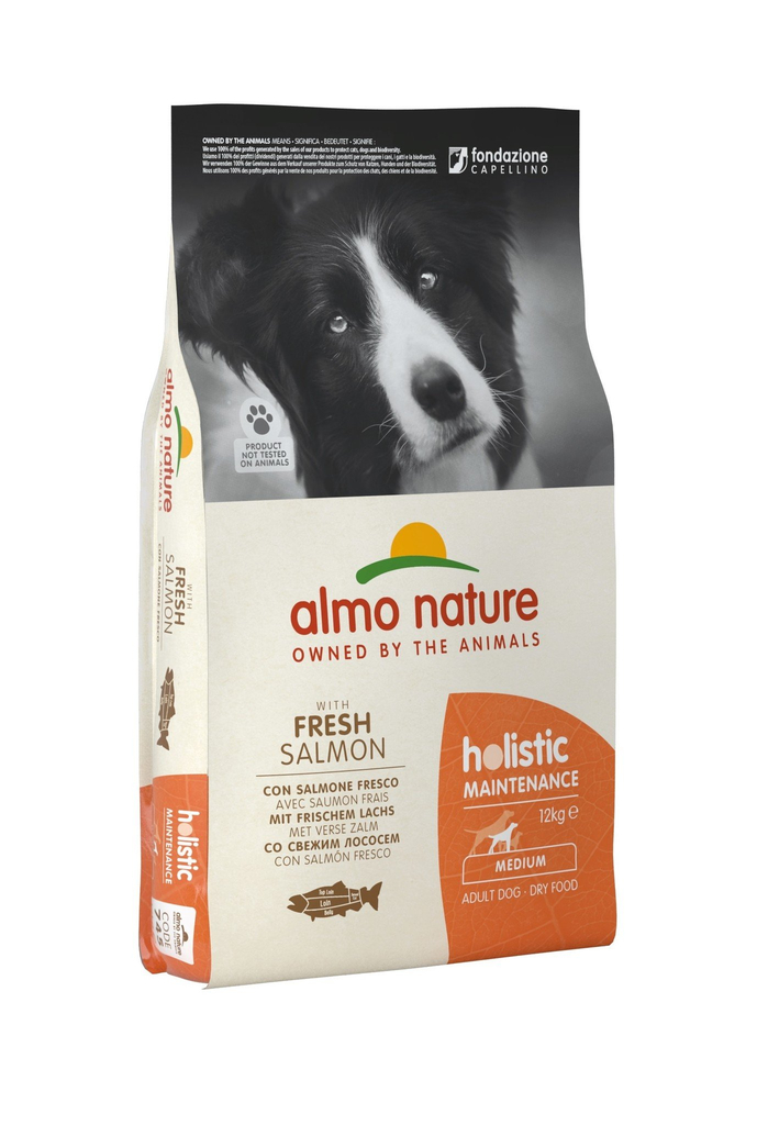 Holistic droogvoer hond maintenance