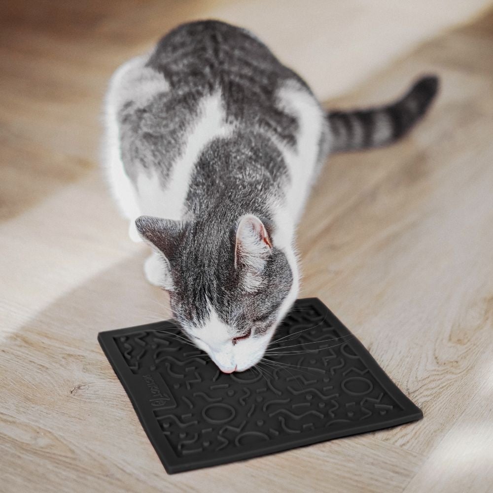 District 70 quest likmat voor katten | donkergrijs 20x20 cm