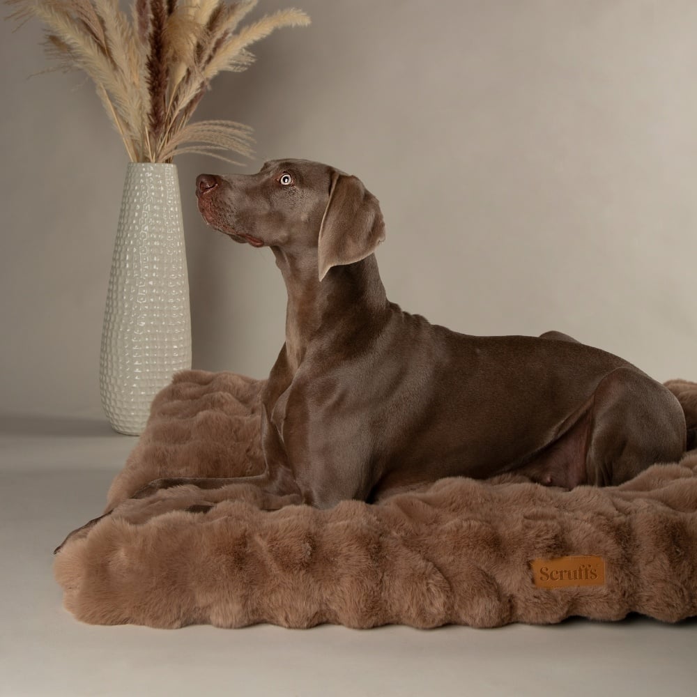 Scruffs alpine mattress | taupe xl - 120x75x14 cm
