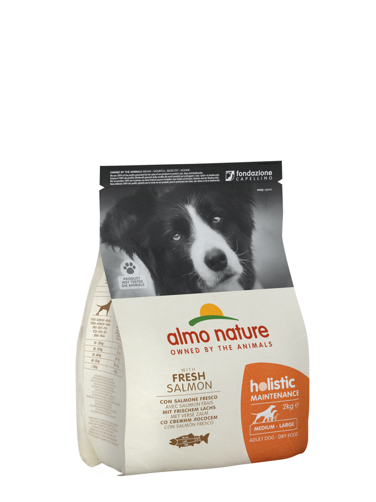 Holistic droogvoer hond maintenance