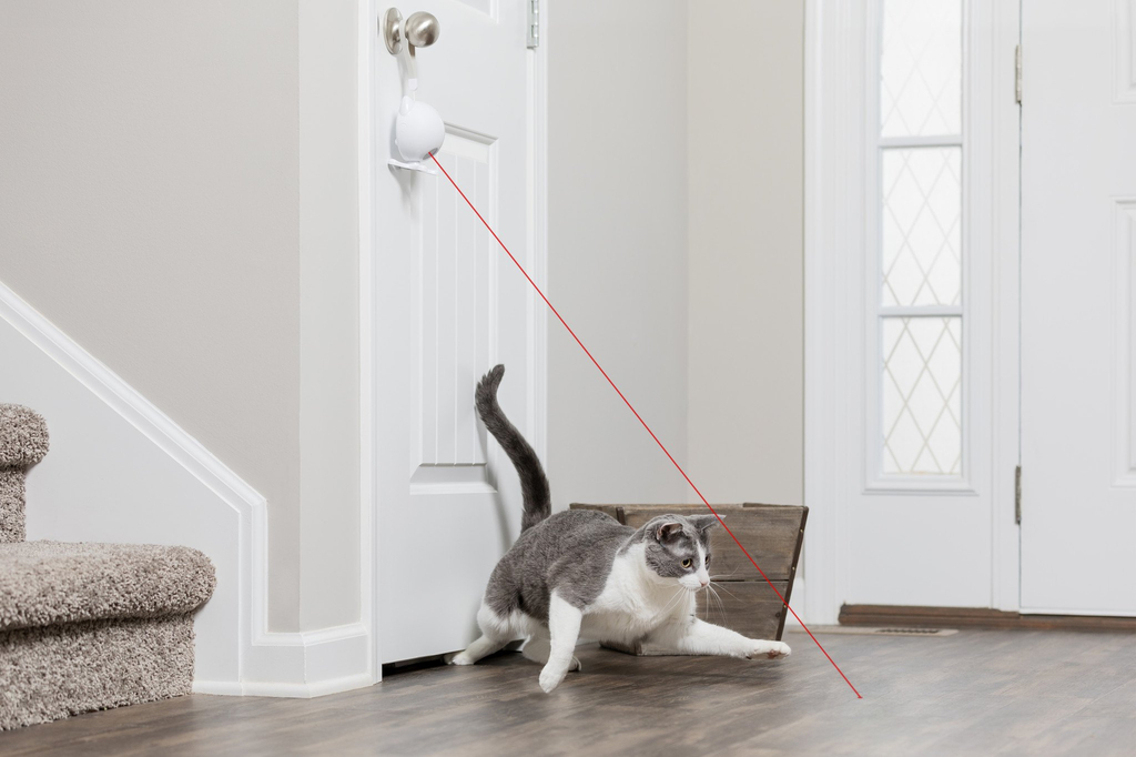 Petsafe dancing dot laser cat toy | interactief speelgoed