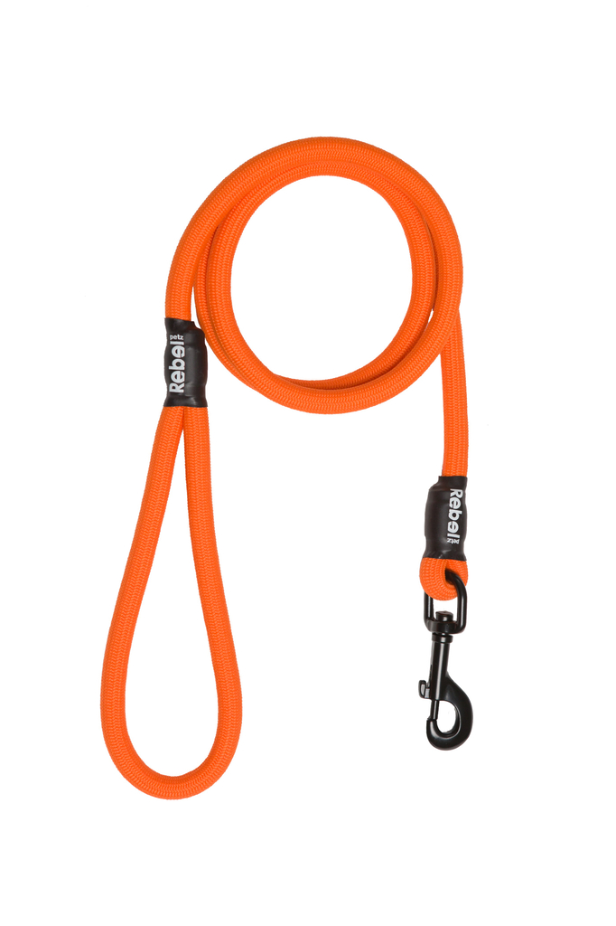 Rebel petz basic leash | oranje, large 12mm x 140cm