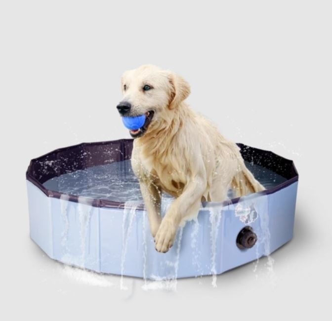 Coolpets zwembad | small - 80 x 20 cm