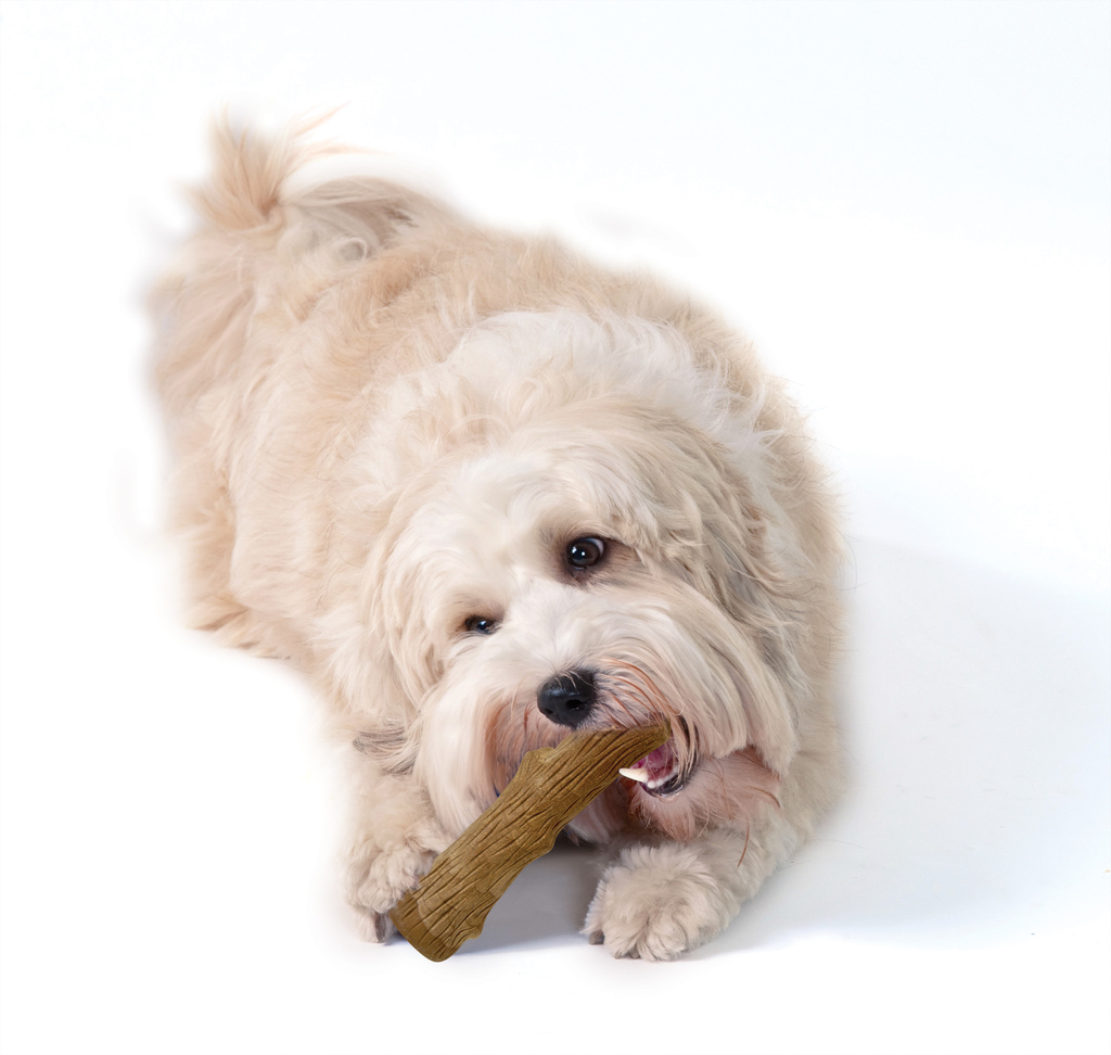 Petstages dogwood durable stick | small - 12,7cm