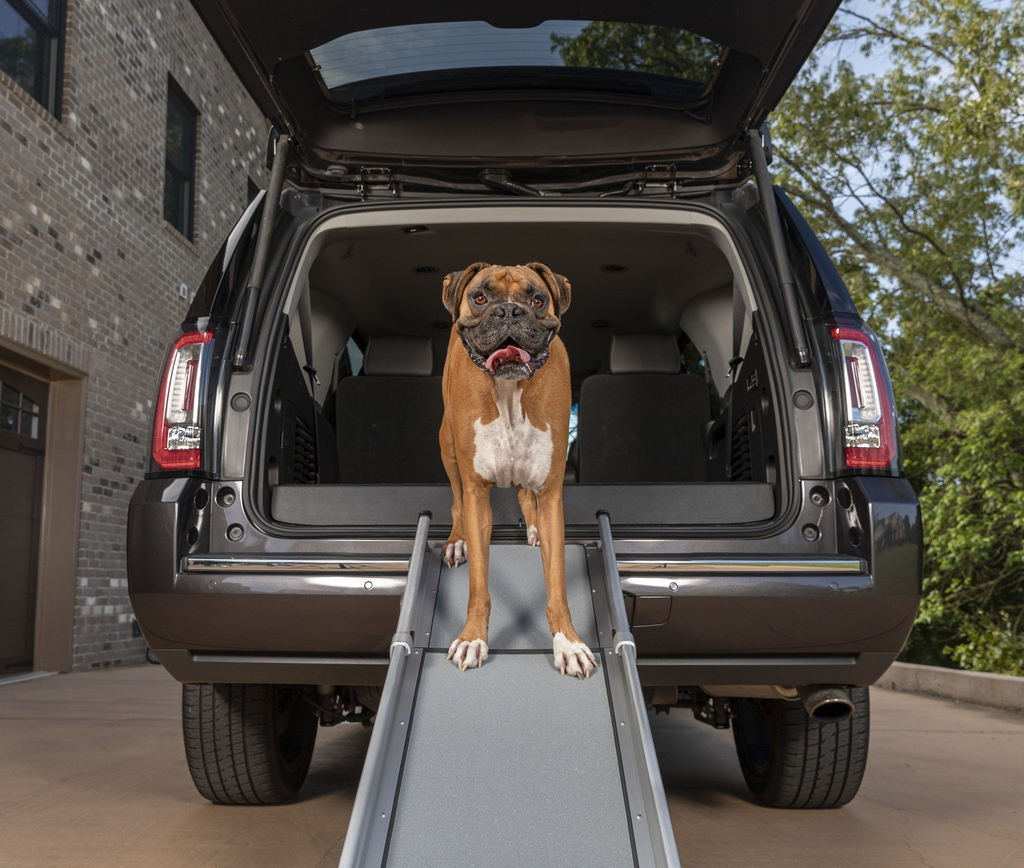 Petsafe happy ride triscope ramp | draagbare hondenloopplank