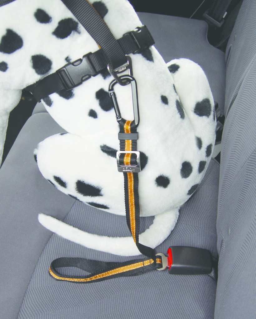 Kurgo direct to seatbelt tether | zwart/oranje