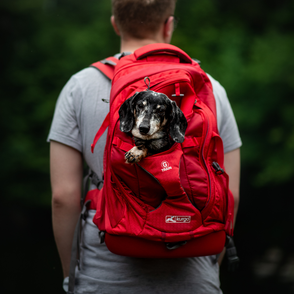 Kurgo g-train k9 pack | rood hunde rugzak