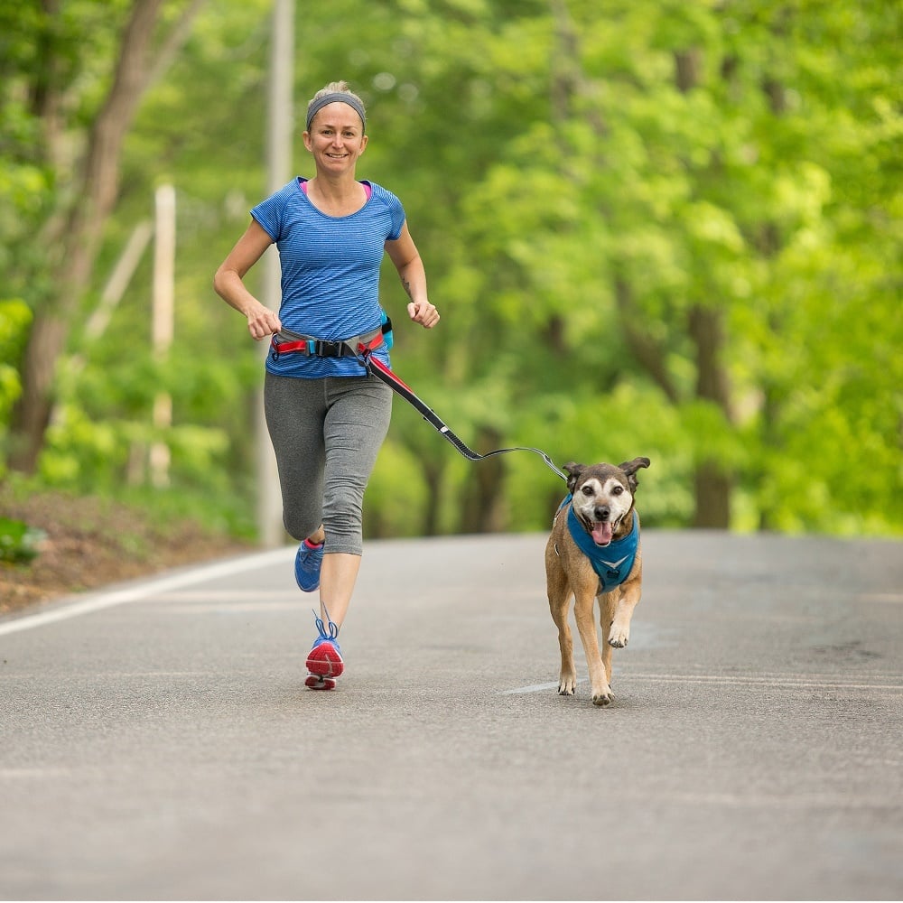 Kurgo k9 excursion running belt | sportieve hondenriem voor joggen