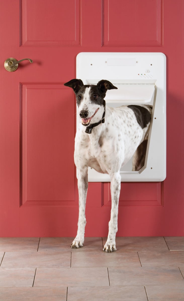 Petsafe smartdoor™ electronic pet door | automatische honden- en kattendeur
