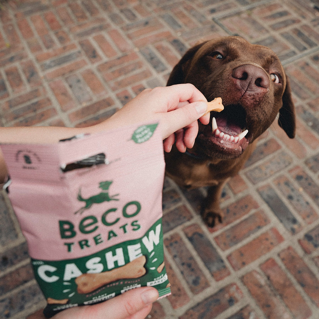 Beco treats - cashew met pompoen & wortel - 70g
