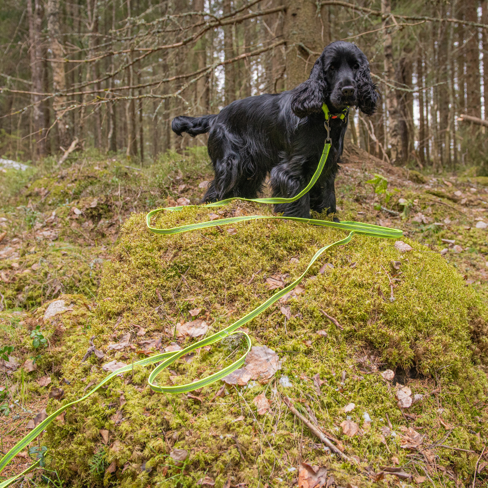 Rukka grip tracking leash | medium - 600 x 15 cm