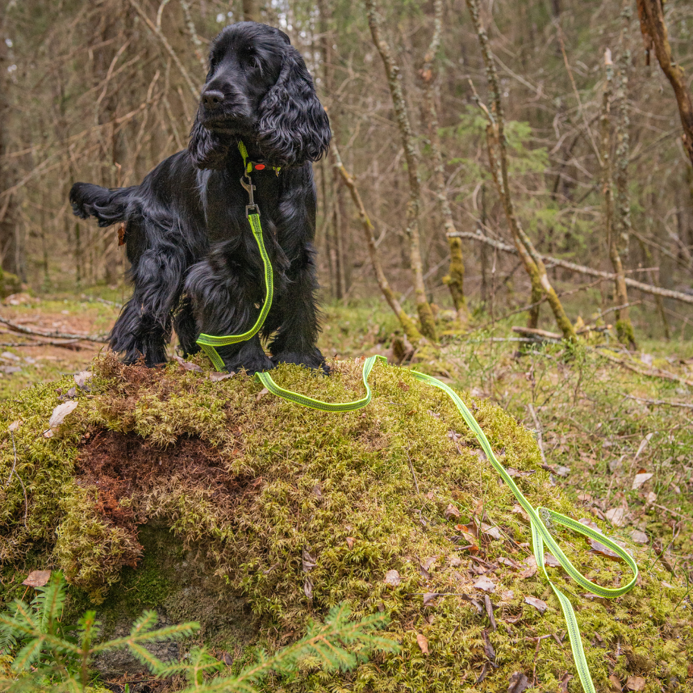 Rukka grip tracking leash | medium - 600 x 15 cm