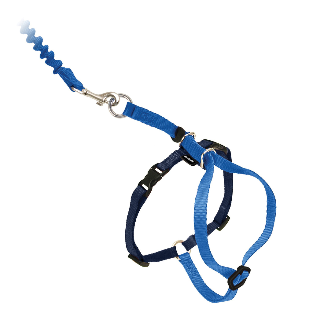 Easy walk® cat harness | blauw, small 23-28 cm met bungee leash