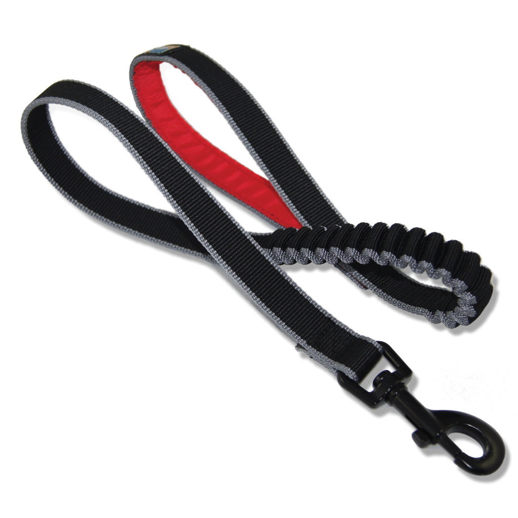 Kurgo springback leash | medium - 76 cm
