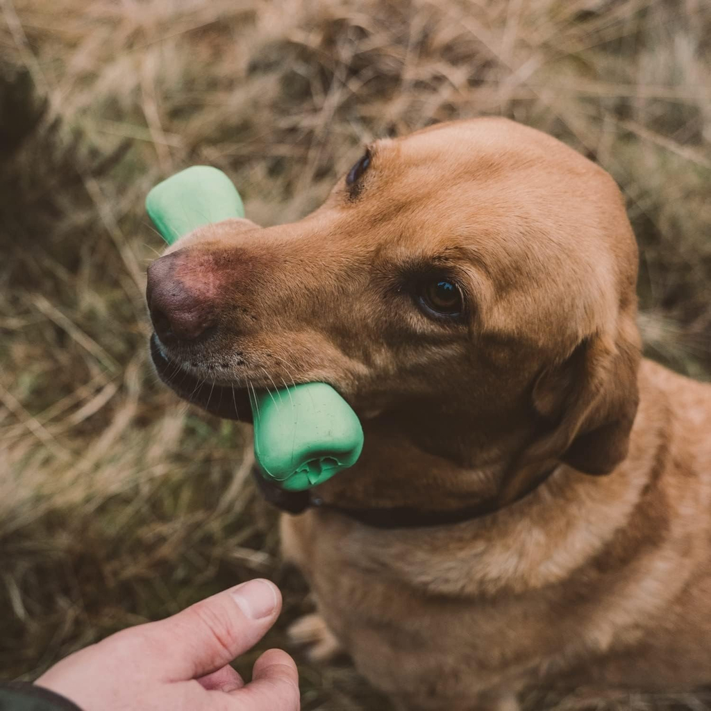 Beco beco bone | groen, small - 12 cm