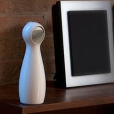 Petsafe bolt interactive laser light | interactief laser licht