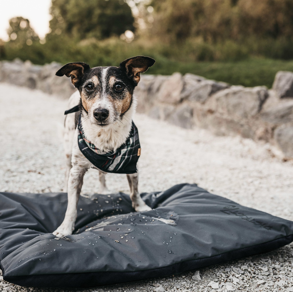 District 70 lodge benchmat | donkergrijs, maat s - 63x47x6 cm