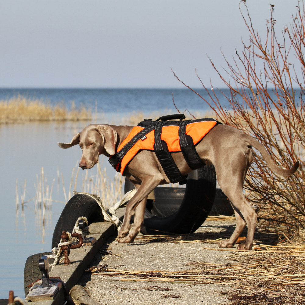 Rukka safety life vest | extra small