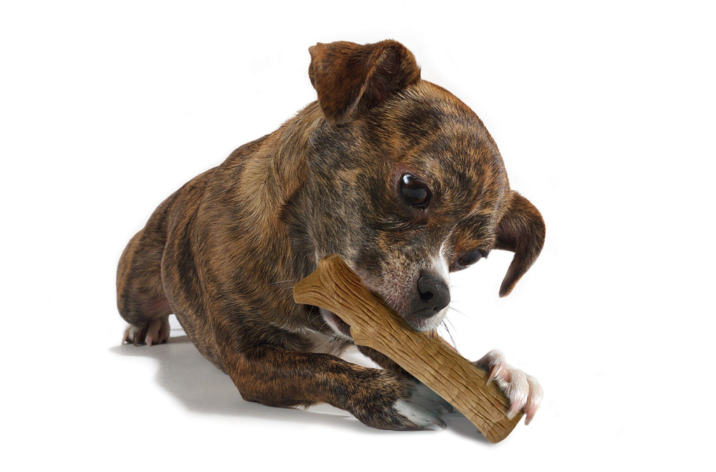 Petstages dogwood durable stick | petite - 10cm