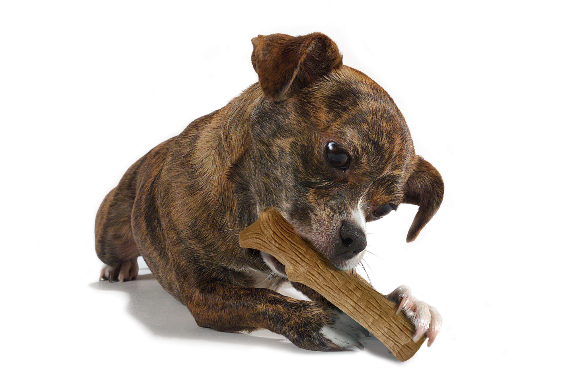 Petstages dogwood durable stick | petite - 10cm