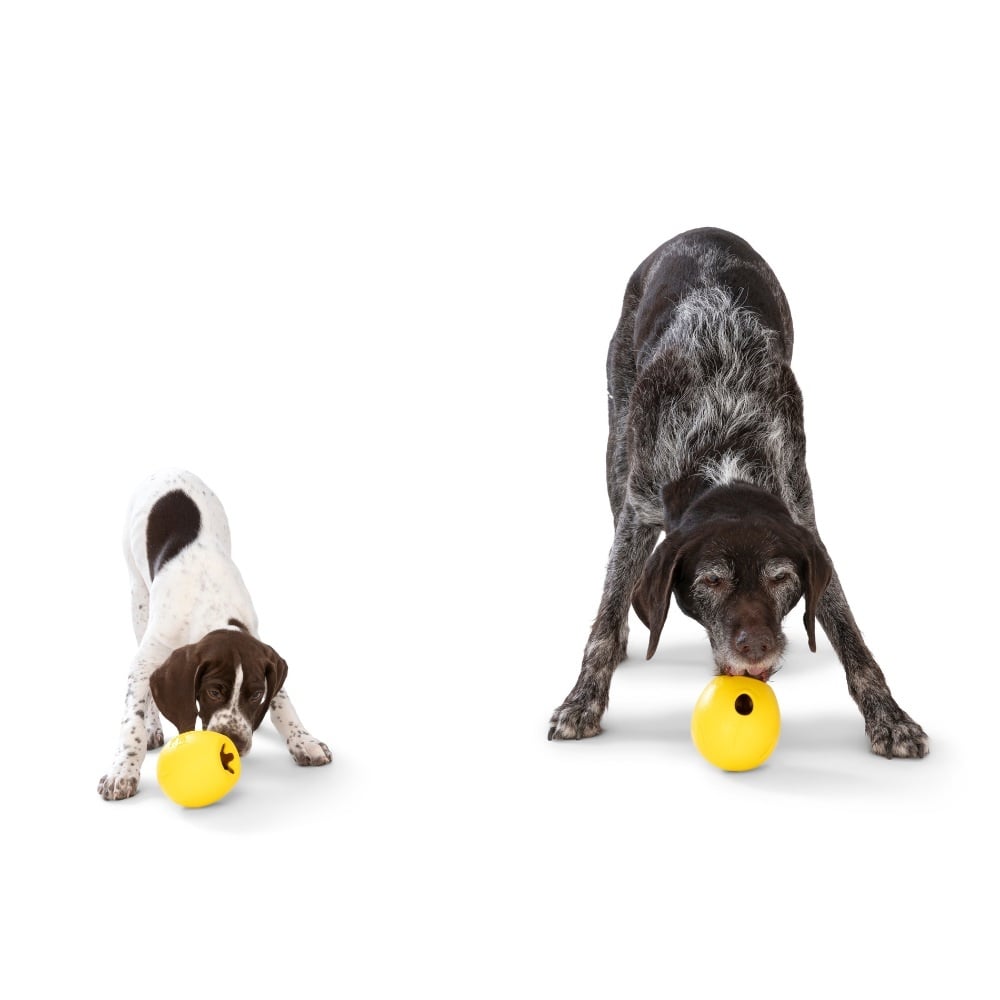 West paw zogoflex echo rumbl | dandelion geel, small