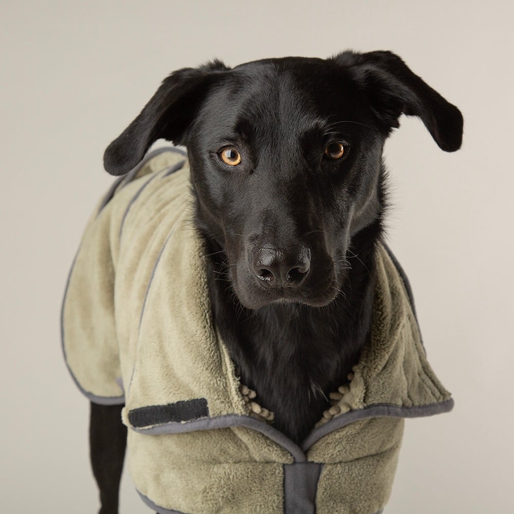 Scruffs expedition deluxe dog drying coat | sage green, m | s/m/l/xl/xxl