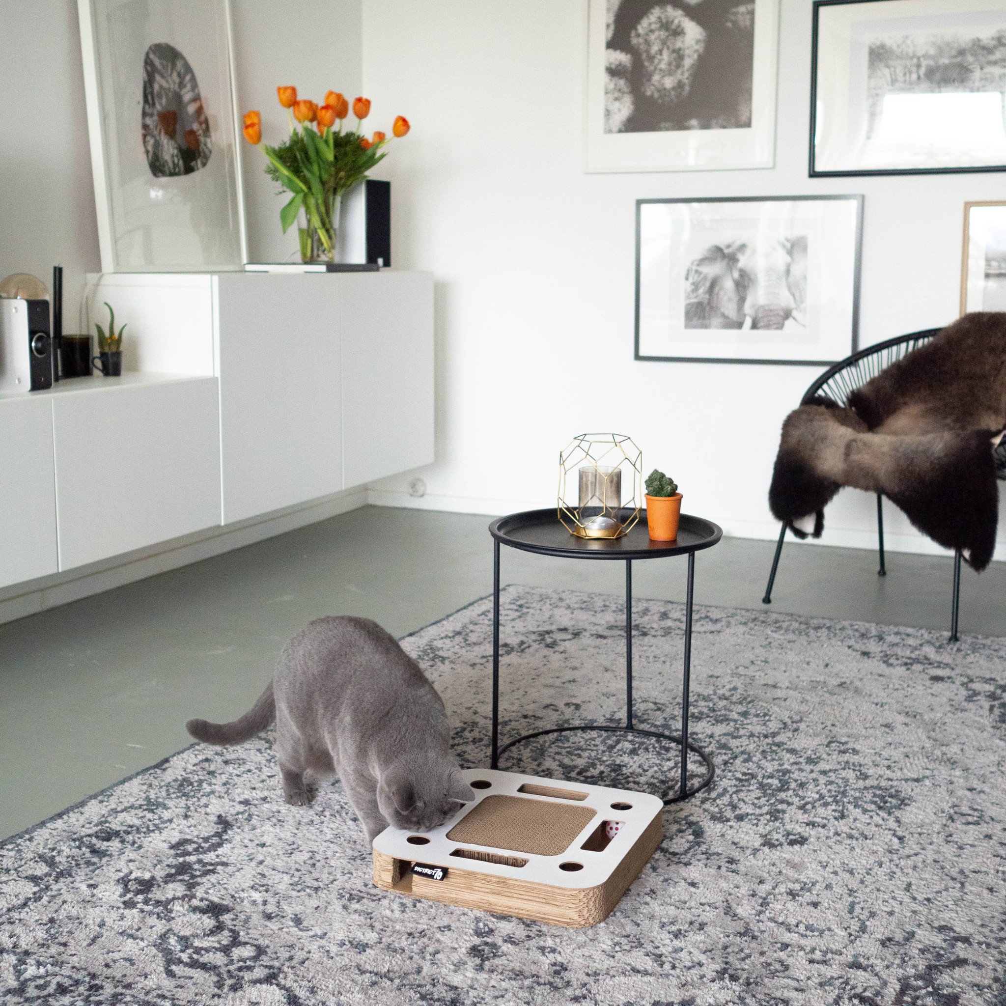 District 70 kattenkrabspeelgoed spy wit – stimuleert jachtinstinct