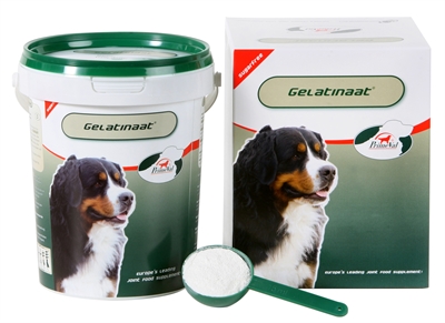 Primeval gelatinaat hond | 500 gr