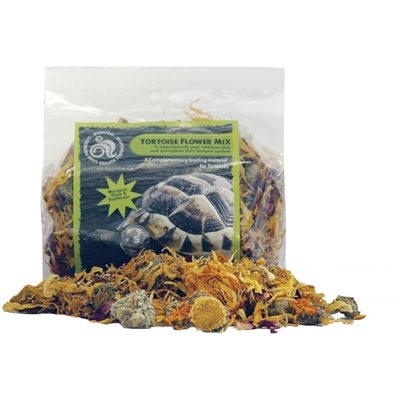 Komodo landschildpad bloemenmix