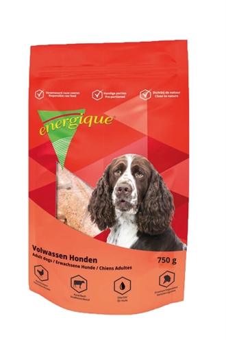 Energique nr 1 volwassen hond
