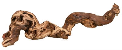 Trixie druiventakken 30-40 cm – 5 stuks 100% natuurlijk