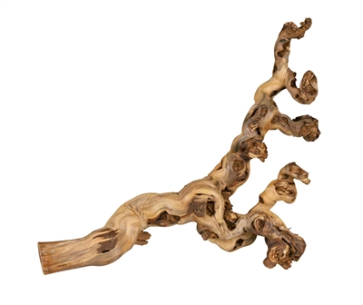 Trixie druiventakken 55-80 cm – 6 stuks voor reptielen en knaagdieren
