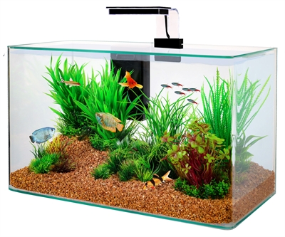 Zolux aquarium clear kit zwart | 32 ltr 50x25x38 cm