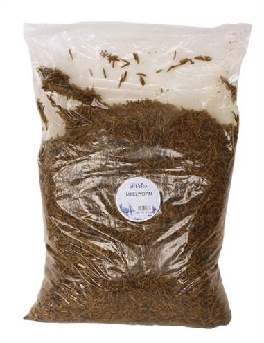 De vries meelworm black soldier fly | 5 kg